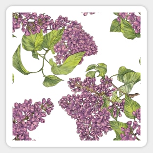 Lilac flower Sticker
